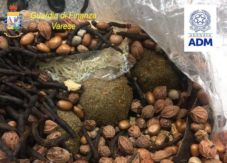 Atterra a Malpensa con la valigia piena di finti tartufi ripieni di… eroina