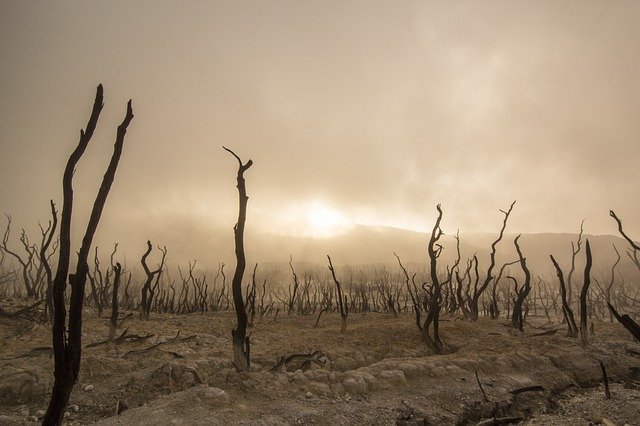 Oggi è l’Earth overshoot day: abbiamo già terminato le risorse naturali del 2021