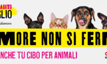 Alimenta l'amore presenta il Pet Day