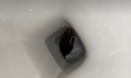 Shock in bagno: nel wc trova un topo. E' il secondo caso in pochi giorni
