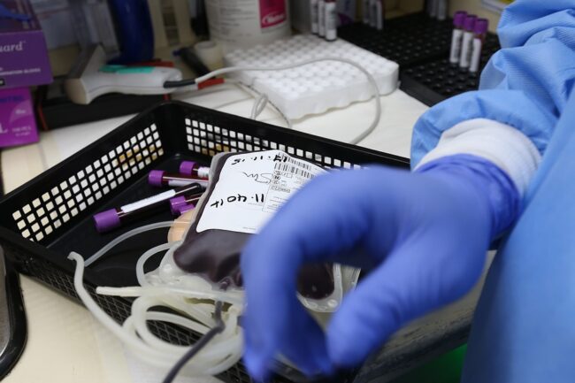 Figlie No vax rifiutano trasfusione di sangue per il padre novantenne
