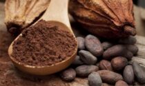 Esselunga presenta il progetto "Cacao sostenibile"