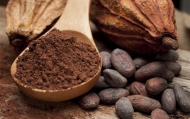 Esselunga presenta il progetto "Cacao sostenibile"