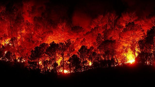 L’Italia in fiamme: chi sono i piromani (e perché lo fanno)