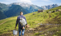 Malghe Aperte, per gustare a pieno le montagne lombarde