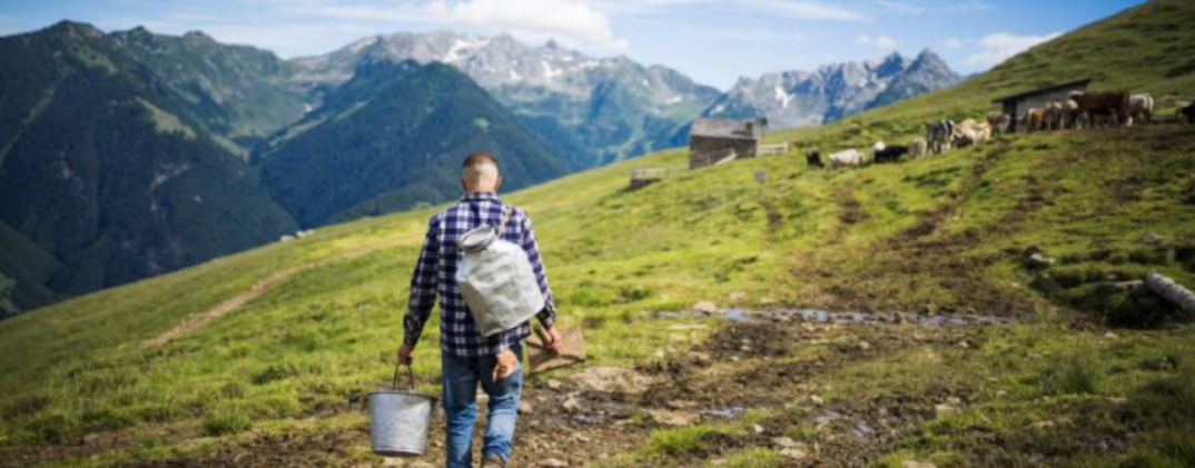 Malghe Aperte, per gustare a pieno le montagne lombarde