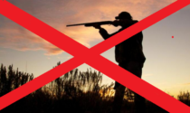 Referendum per l'abolizione della caccia: raccolta firme entro ottobre, come aderire