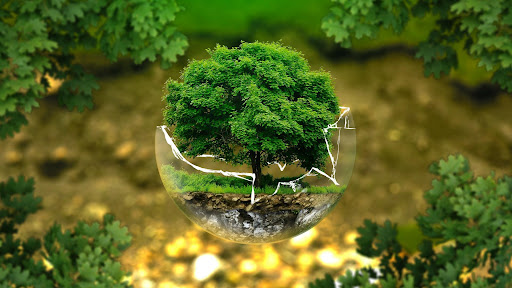 Si è concluso il F20 Climate Solutions Forum 2021