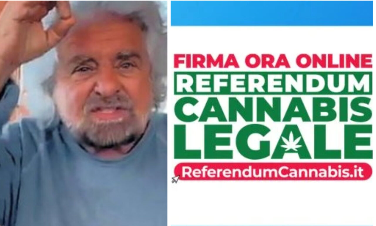 Referendum cannabis: anche Beppe Grillo dice “sì” alla legalizzazione