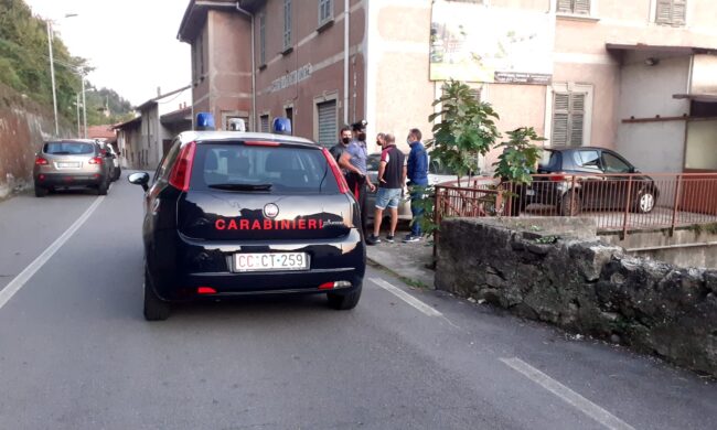 In coma per un cane: difende la figlia e viene preso a pugni da un 17enne
