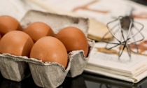 Come si legge il guscio di un uovo?