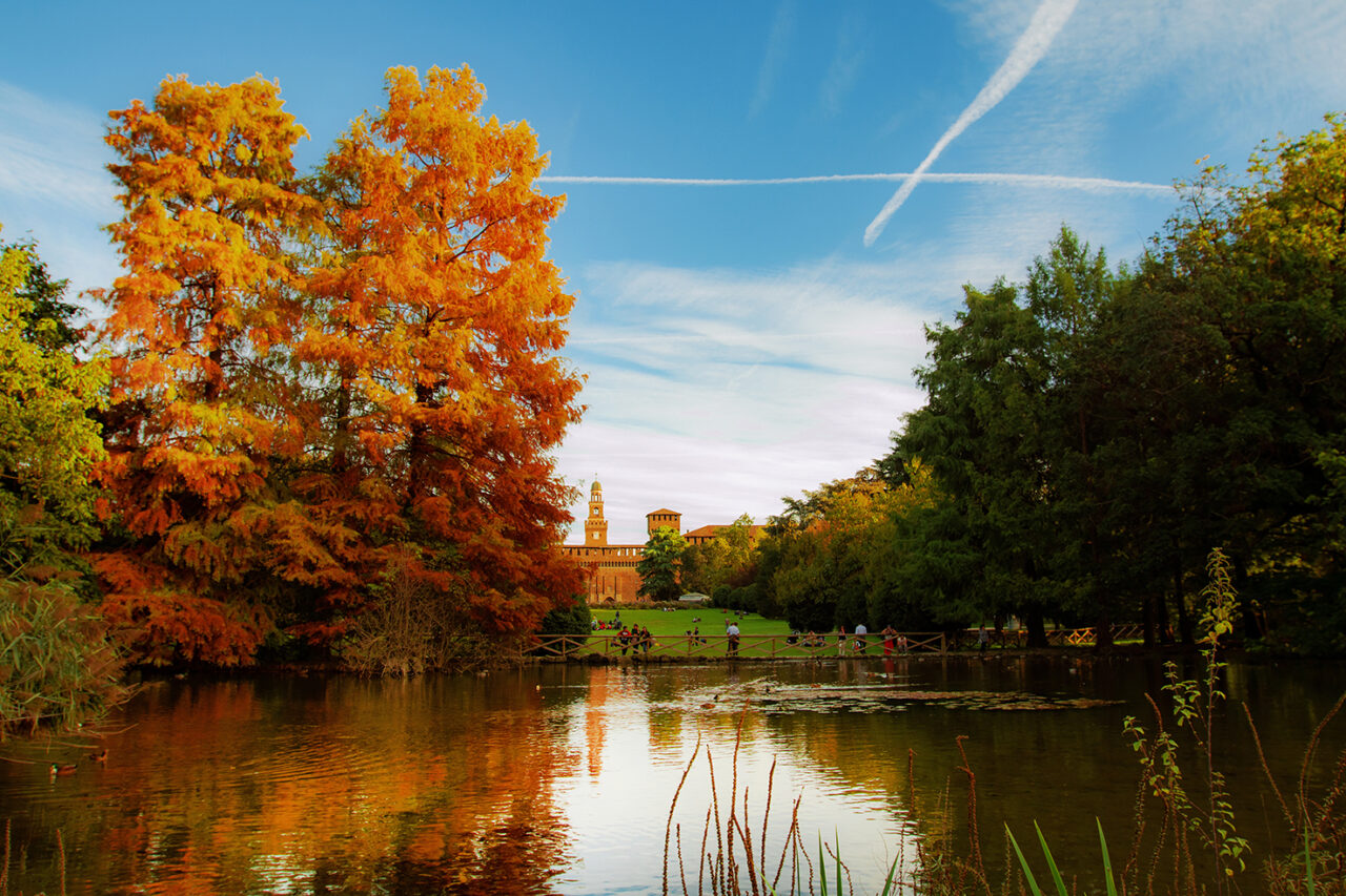 Foliage in città