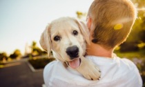 Chiede il congedo di paternità perché... ha adottato un cane