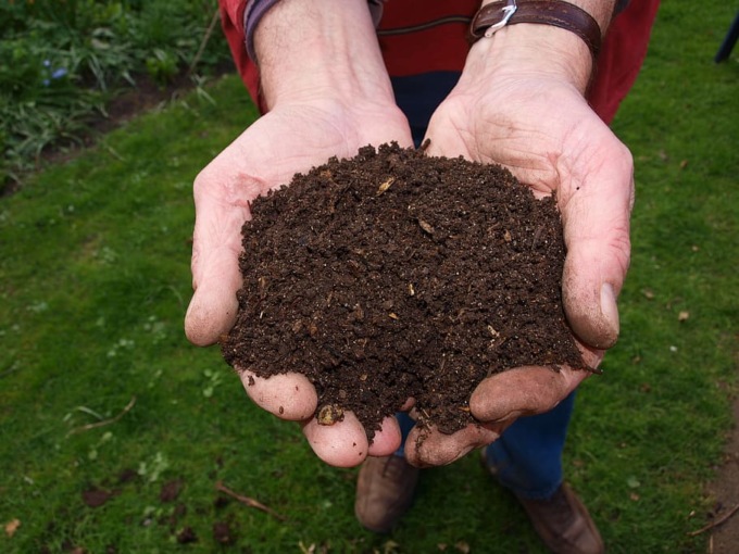 Veneto, filiera del compost a rischio: i produttori contro la Regione