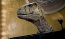 Il messaggio del T-Rex all'Onu: "Credetemi, estinguersi non è bello"