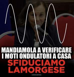 tweet-e-meme-sulla-forza-ondulatoria-di-lamorgese-15-1544834_tn