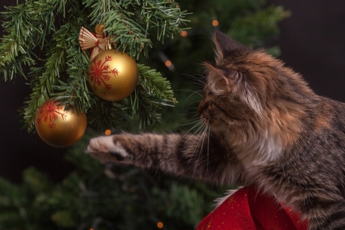 Consigli per affrontare le feste in serenità