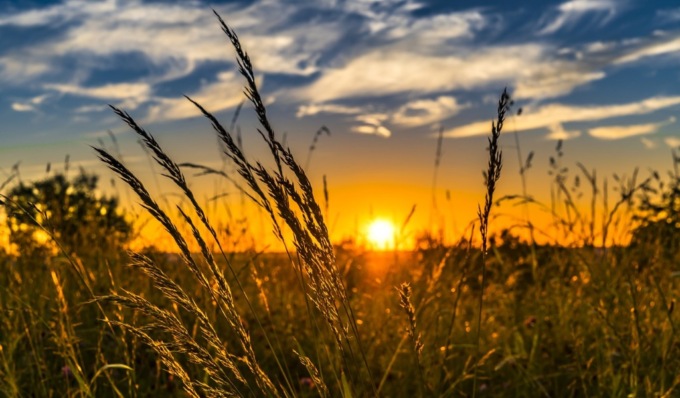 Finalmente un po’ di sole nel weekend ma domenica temperature in calo | PREVISIONI METEO