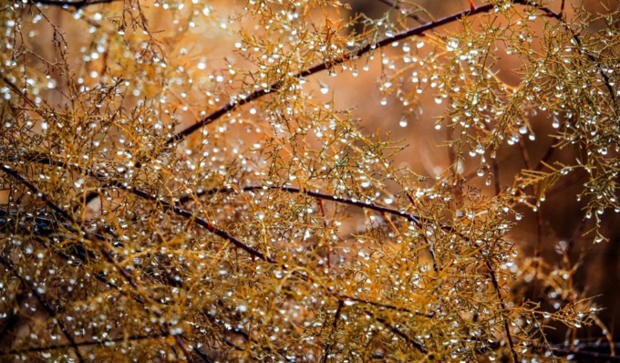 Temperature in calo e piogge in vista, l’autunno si fa più duro | Previsioni meteo