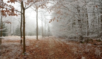 Dove arriva la pioggia (e qualche fiocco di neve) nei prossimi giorni: previsioni meteo Lombardia