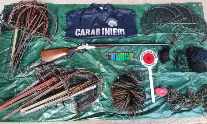 Cacciavano uccelli protetti e li rivendevano ai ristoranti