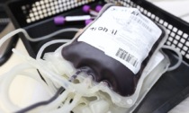Donare il sangue, requisiti e come cominciare