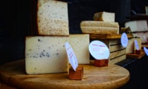 Riso, latte e formaggio: rischiamo di trovare in tavola prodotti tarocchi al posto delle nostre eccellenze