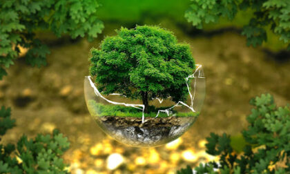 Dalla Cop26 stop alla deforestazione entro il 2050 e riduzione del 30% delle emissioni di metano