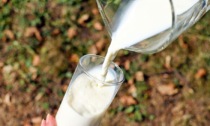 Latte, quattro centesimi in più per ogni litro: accordo con gli allevatori