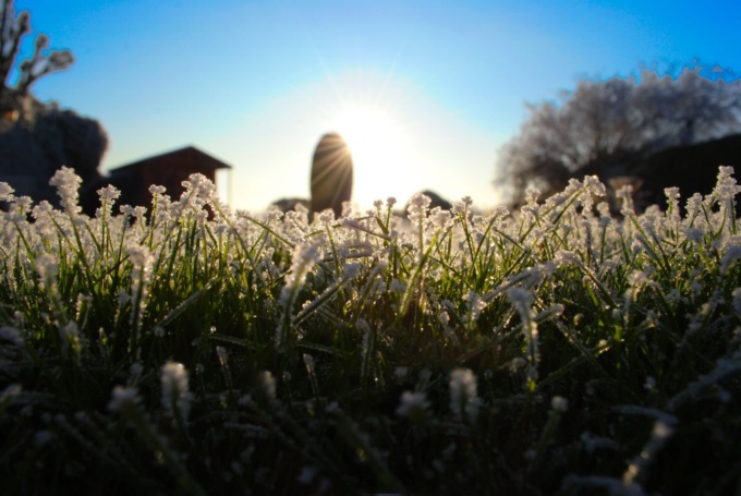 Venti di foehn e temperature minime rigide, ma tempo stabile | Meteo Piemonte