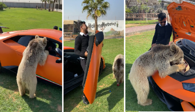 L’orso dello sceicco stacca la portiera della sua Lamborghini. E lui se la ride…
