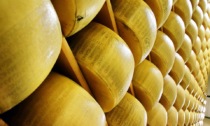 Parmigiano Reggiano, una forma all’asta per beneficenza