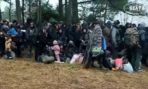 Bimbo migrante muore nella foresta: cosa sta succedendo al confine fra Polonia e Bielorussia