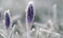 Tempo stabile ma freddo (neve in collina mercoledì notte) | Meteo Lombardia