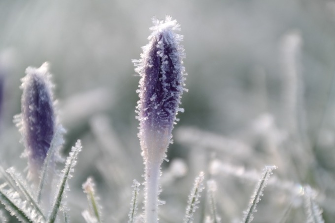 Tempo stabile ma freddo (neve in collina mercoledì notte) | Meteo Lombardia