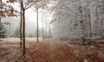 Meteo Veneto, le previsioni del weekend: nuvoloso e nevicate anche a bassa quota