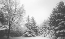 Clima stabile fino a mercoledì, poi in Veneto fioccherà la neve anche a bassa quota