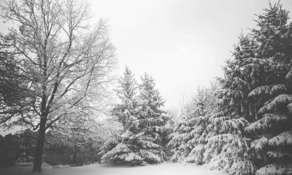 Clima stabile fino a mercoledì, poi in Veneto fioccherà la neve anche a bassa quota