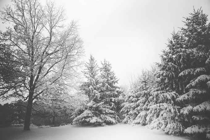 Clima stabile fino a mercoledì, poi in Veneto fioccherà la neve anche a bassa quota