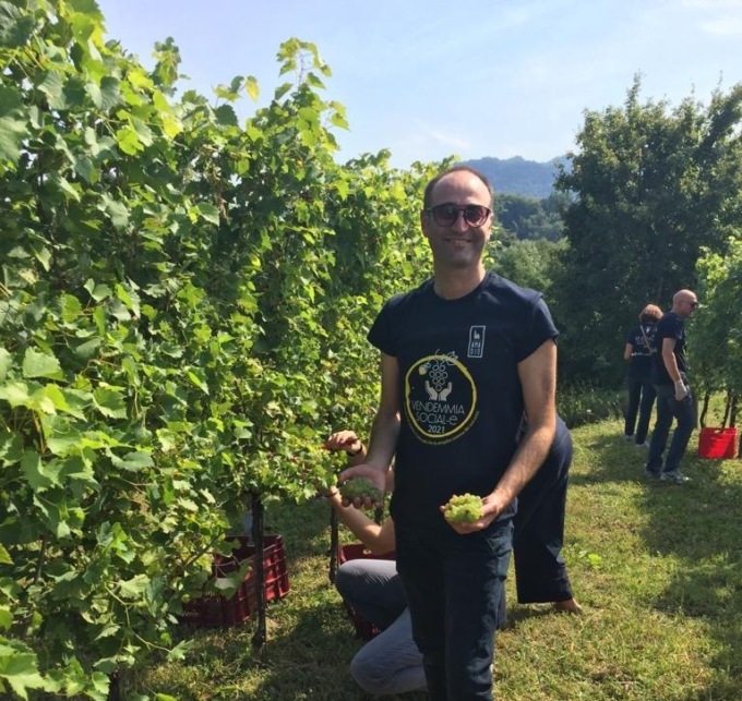 Vino veneto, dopo la crisi si riparte: export in crescita