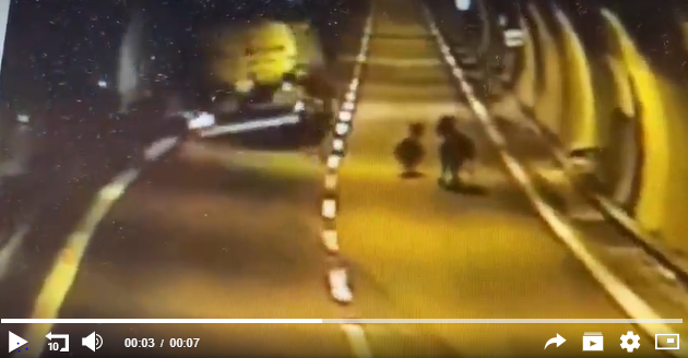 Il video dell’autobotte che evita per miracolo lo schianto con due asini… in galleria