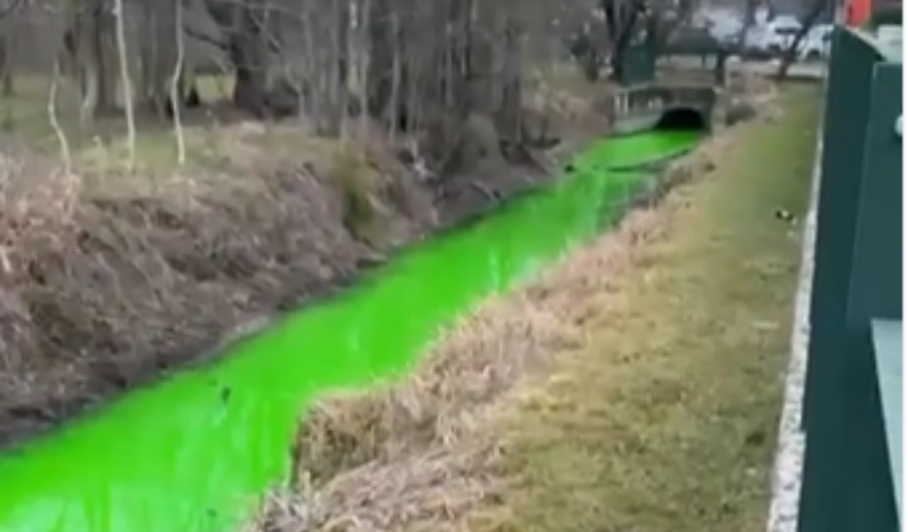 acqua fosforescente