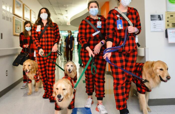 E’ ricoverato in Rianimazione,  l’ospedale fa arrivare il suo  cane