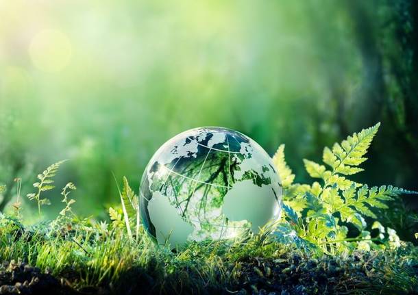 Nel 2024 sono state distrutte foreste per una superficie doppia rispetto al 2023
