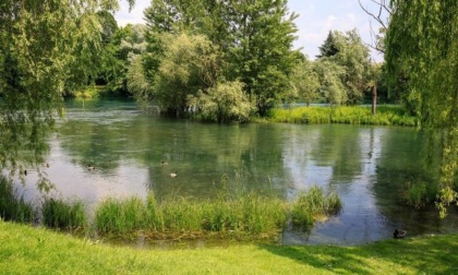 “Biodiversità e Clima” un bando per salvare 22 specie in Lombardia