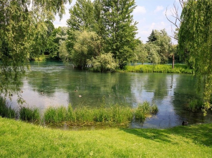 “Biodiversità e Clima” un bando per salvare 22 specie in Lombardia