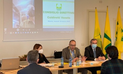 Agricoltura, l'assessore Caner incontra Coldiretti Veneto: "Faremo la nostra parte per sostenere il comparto"