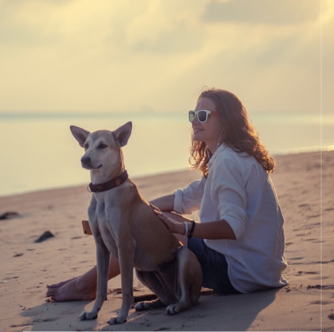 Zampette felici in vacanza con noi