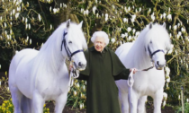 Due pony "giganti" per la regina Elisabetta (che ora è anche una Barbie)