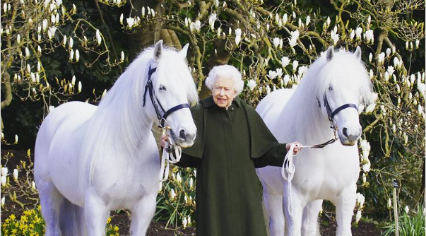 Due pony "giganti" per la regina Elisabetta (che ora è anche una Barbie)
